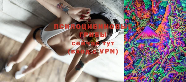 мескалин Мегион