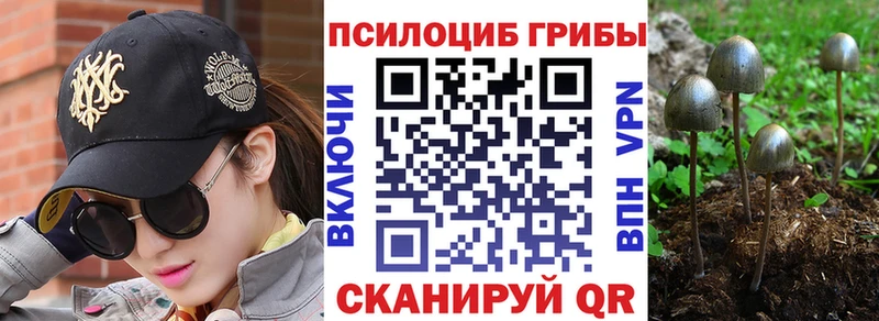 маркетплейс какой сайт  купить наркотик  blacksprut как войти  Дубна  Галлюциногенные грибы Psilocybine cubensis 
