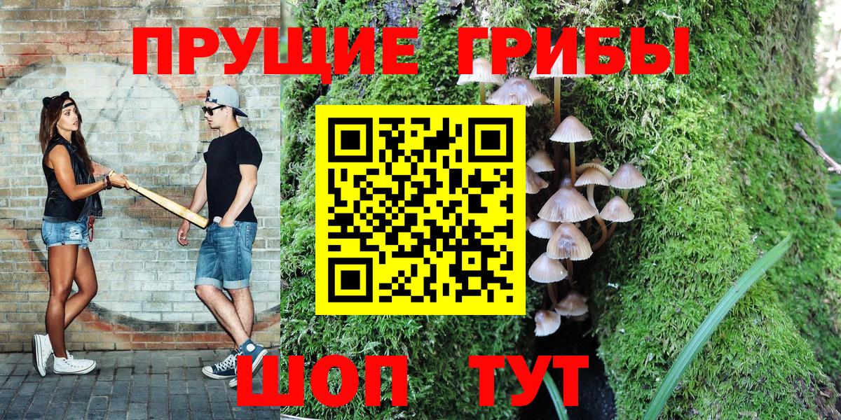 Дубна  Галлюциногенные грибы GOLDEN TEACHER  Вход с VPN 