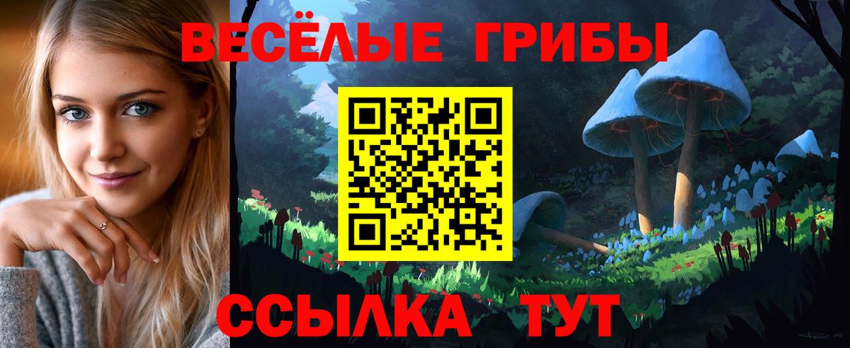 Псилоцибиновые грибы ЛСД Дубна