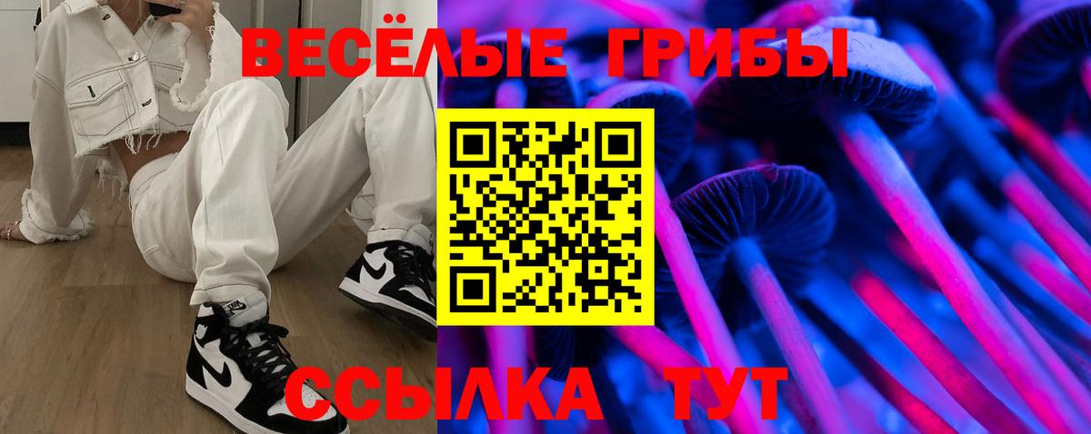 Галлюциногенные грибы Psilocybine cubensis Дубна